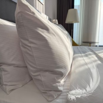 Almohadas de pluma y plumón